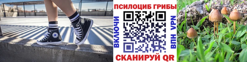 сколько стоит  Москва  ссылка на мегу ONION  Галлюциногенные грибы Magic Shrooms 